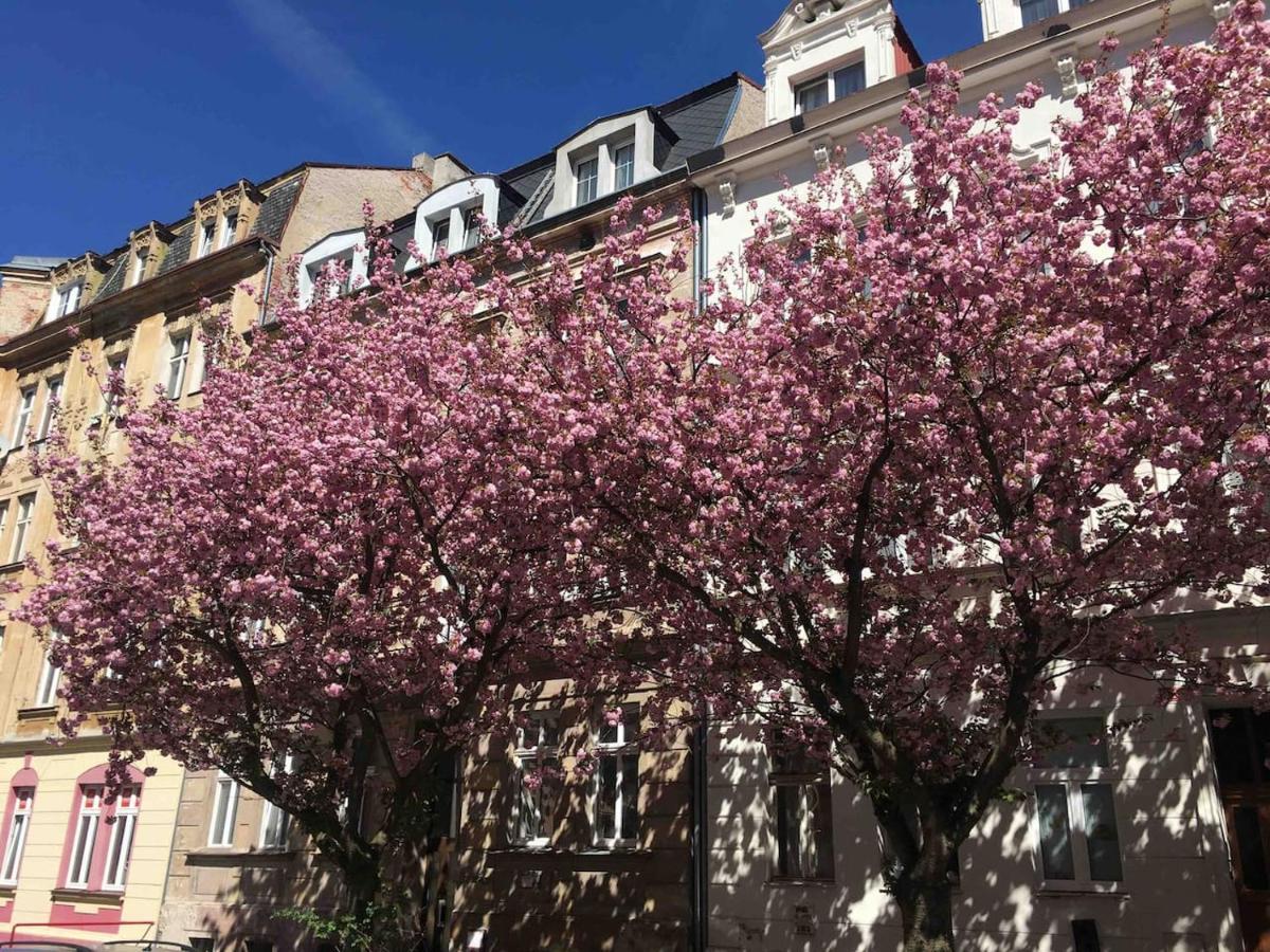Apartmány Jízdárenská Karlovy Vary Kültér fotó