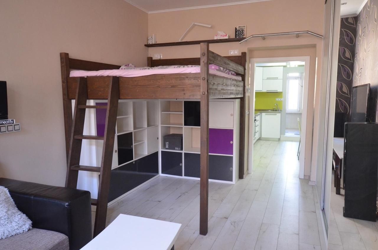 Apartmány Jízdárenská Karlovy Vary Kültér fotó
